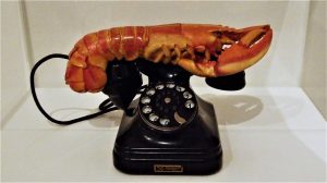 龙虾的电话