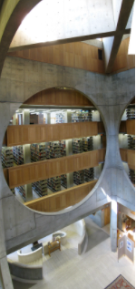 从建筑内部可以看到图书馆的结构