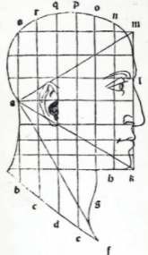 L'illustration de Léonard de Vinci d'une tête humanaine de de Divina proportion de Pacioli: ce fut une source d'inspiration pour le modulaire