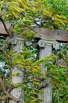埃尔瑟姆宫藤架花园的古典柱子图片。