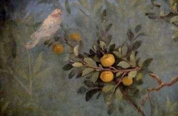 公元前30-20年奥古斯都皇帝的妻子Livia别墅三柱楼的壁画;罗马马西莫宫(Palazzo Massimo alle Terme):墙上画着一只白色的鸟(左)坐在树枝上。这种树枝上有各种黄色的果实。